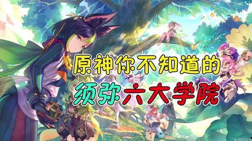 原神最新爆料 须弥,原神新世界揭开面纱