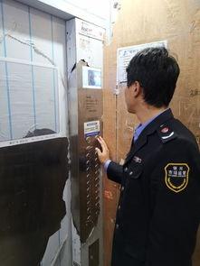 宁南最新事件爆料新闻,揭秘背后真相，引发社会广泛关注