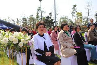 萧山女士爆料事件最新,真相与争议交织的舆论漩涡